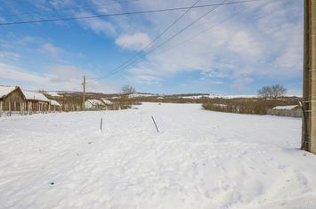 Teren de vanzare RUSI - Sibiu anunturi imobiliare Sibiu