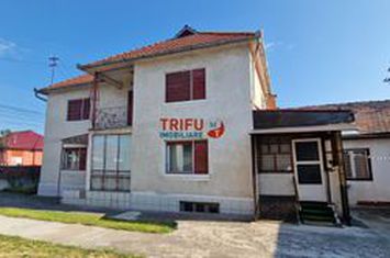 Vilă - 5 camere de vanzare CENTRAL - Alba anunturi imobiliare Alba