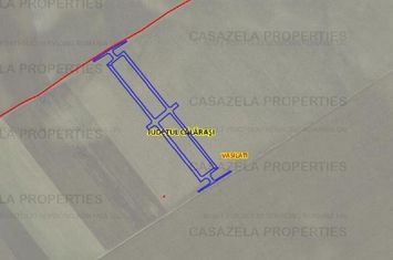Teren 55.400 mp Vasilati Tarla 140 Parcela 17 anunturi imobiliare Calarasi