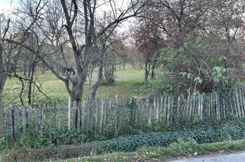 Teren de vanzare IZVOARELE - Prahova anunturi imobiliare Prahova