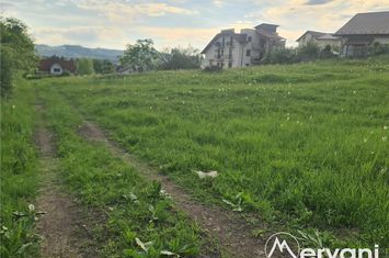 Teren Intravilan de vanzare MUSCEL - Prahova anunturi imobiliare Prahova