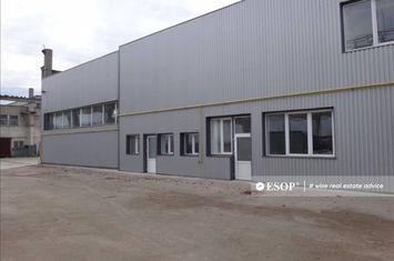Spațiu industrial de inchiriat BRAGADIRU - Bucuresti anunturi imobiliare Bucuresti