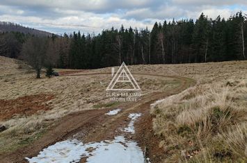 4.4 Hectare în Zona Turistică Montană – Bulz, Bihor anunturi imobiliare Bihor