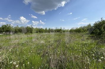 Teren de vanzare BUCOVAT - Dolj anunturi imobiliare Dolj