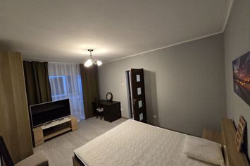 Dristor 2 Camere Renovat Mobila Noua anunturi imobiliare Bucuresti