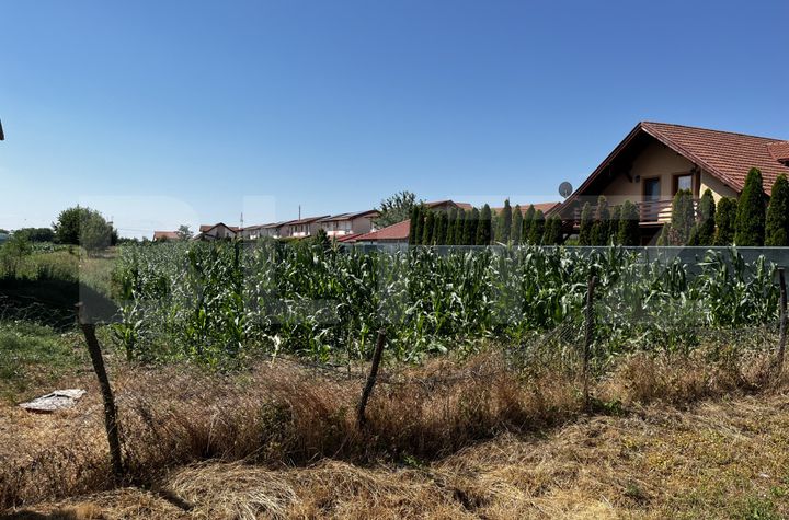 Teren de vanzare SATU MARE - Satu Mare anunturi imobiliare Satu Mare