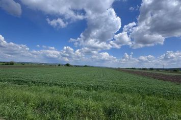 Teren de vanzare RADAUTI - Suceava anunturi imobiliare Suceava