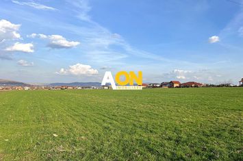 Teren de vanzare pe Nazareth Ilith, 2050MP anunturi imobiliare Alba