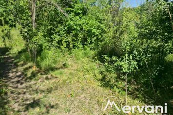 Teren Intravilan de vanzare POIANA CAMPINA - Prahova anunturi imobiliare Prahova