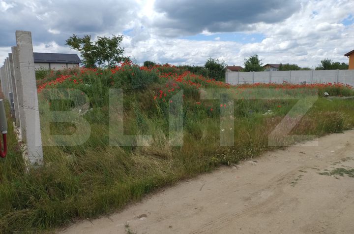 Teren de vanzare CERNELE - Dolj anunturi imobiliare Dolj