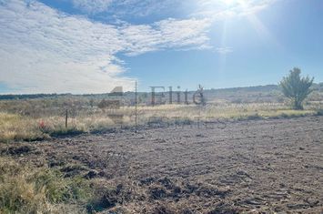 Teren intravilan de vanzare in Cihei anunturi imobiliare Bihor