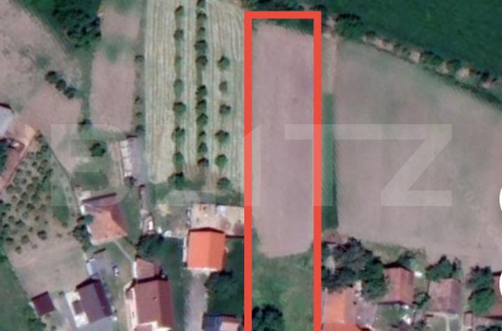Teren de vanzare SATU MARE - Satu Mare anunturi imobiliare Satu Mare