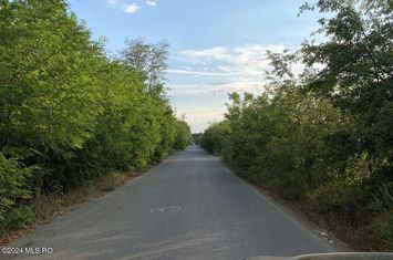 Corbeanca - Tamasi, intravilan, 16562 mp, deschidere 93 m, rezidential anunturi imobiliare Bucuresti
