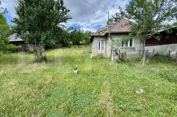 Casă - 2 camere de vanzare DRACULEA BANDULUI - Mures anunturi imobiliare Mures