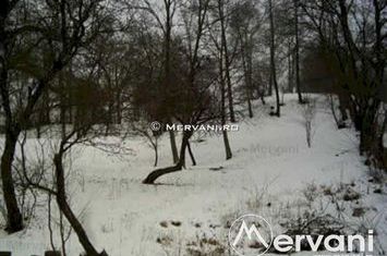 Teren Intravilan de vanzare BREAZA - Prahova anunturi imobiliare Prahova