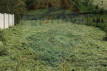 TEREN INTRAVILAN 500 MP DE VANZARE– SURA MARE, JUD. SIBIU anunturi imobiliare Sibiu