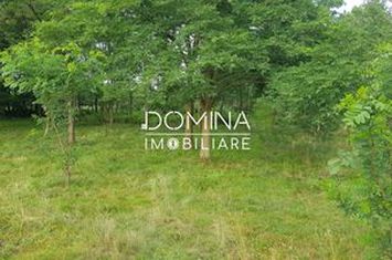 Teren de vanzare POLOVRAGI - Gorj anunturi imobiliare Gorj