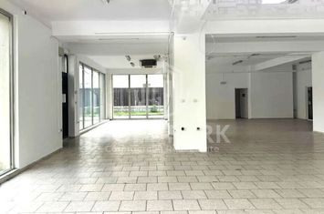 Spatiu Comercial - 254MP  - Manastur - Vitrina anunturi imobiliare Cluj