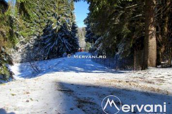 Teren Intravilan de vanzare PREDEAL - Brasov anunturi imobiliare Brasov