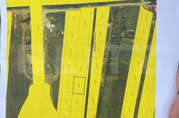 Teren de vanzare LIVEZENI - Mures anunturi imobiliare Mures