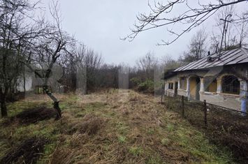 Teren de vanzare TARGOVISTE - Dambovita anunturi imobiliare Dambovita