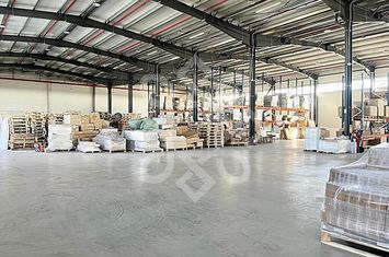 Hala noua 2402 mp in Parcul Industrial I, zona Borsului anunturi imobiliare Bihor