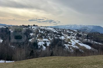 Teren de vanzare BRAN - Brasov anunturi imobiliare Brasov