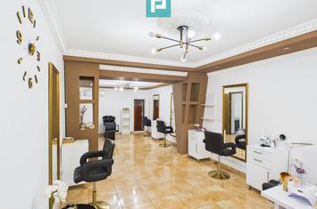 Casă cu spațiu comercial Arad, calea Aurel Vlaicu anunturi imobiliare Arad