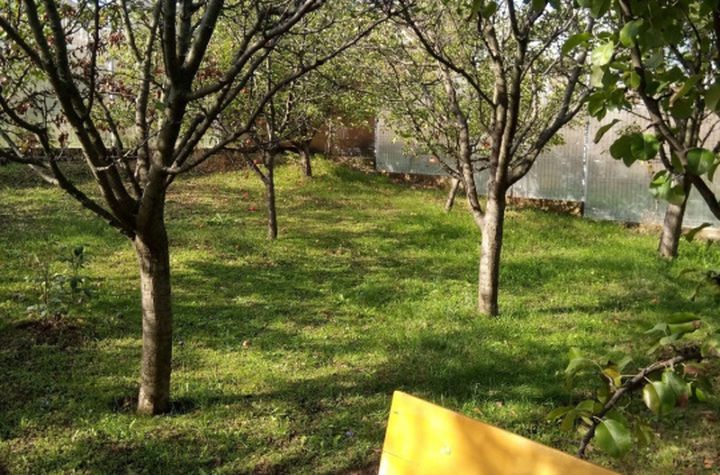 Teren de vanzare REDIU - Iasi anunturi imobiliare Iasi