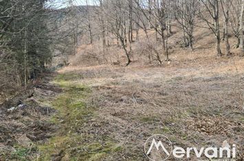 Teren Intravilan de vanzare SINAIA - Prahova anunturi imobiliare Prahova
