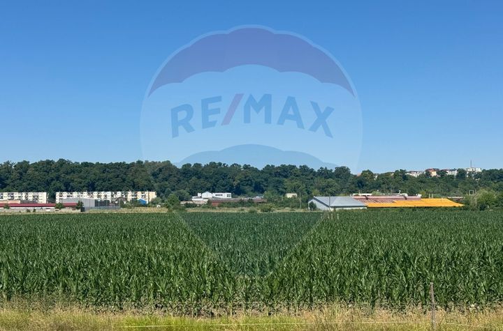 Vând teren Dej / Strada Dumbrava Rosie anunturi imobiliare Cluj