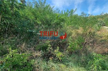 Teren Intravilan de vanzare CETATE - Alba anunturi imobiliare Alba