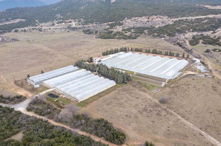 Unitate cu sere 15.000 mp în Sidirokastro anunturi imobiliare Grecia
