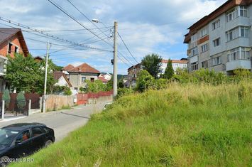 Teren Intravilan de vanzare CENTRU - Arges anunturi imobiliare Arges