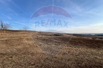 Teren 11600mp Tureni, în zona VLG, Soseaua E60 anunturi imobiliare Cluj