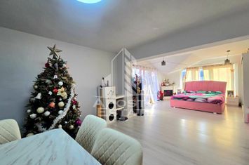 Casa individuala la intrare in Sag, teren de 1.800 mp,  mobilata anunturi imobiliare Timis