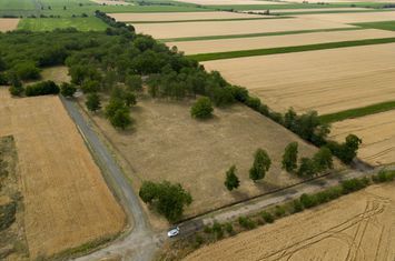 Teren aproape de băile termale Şofronea anunturi imobiliare Arad