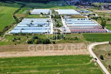 Teren Intravilan - Gilau - Autorizatie Construire Hale anunturi imobiliare Cluj