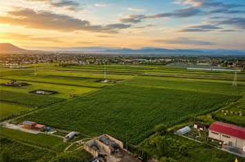 Teren Intravilan de vanzare STUPINI - Brasov anunturi imobiliare Brasov