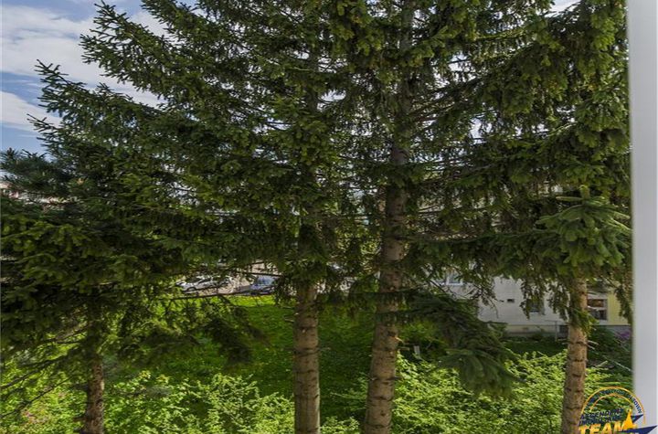 Apartament 2 camere de vanzare ASTRA - Brasov anunturi imobiliare Brasov