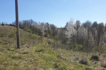 Teren cu panoramă fabuloasă, 10.059 mp, Roșia. 19.000 EUR. Comision 0 anunturi imobiliare Bihor