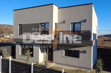 Vilă - 4 camere de vanzare CHICEREA - Iasi anunturi imobiliare Iasi