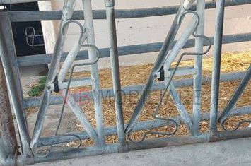 Ferma zootehnică funcțională, populată cu peste 200 capete bovine, aproape de Sânnicolau Mare anunturi imobiliare Timis