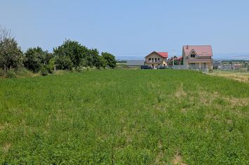 Teren de vanzare BACAU - Bacau anunturi imobiliare Bacau
