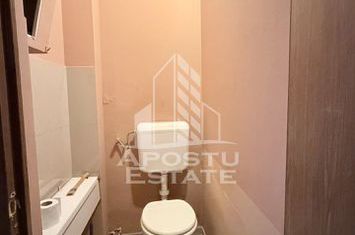 Apartament la casa curte comuna Dambovita anunturi imobiliare Timis