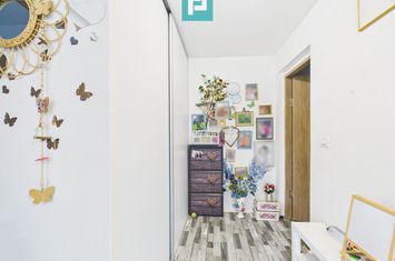 Două case pe un teren generos în Ghiroda anunturi imobiliare Timis