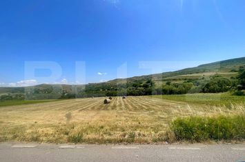 Teren de vanzare CHINTENI - Cluj anunturi imobiliare Cluj