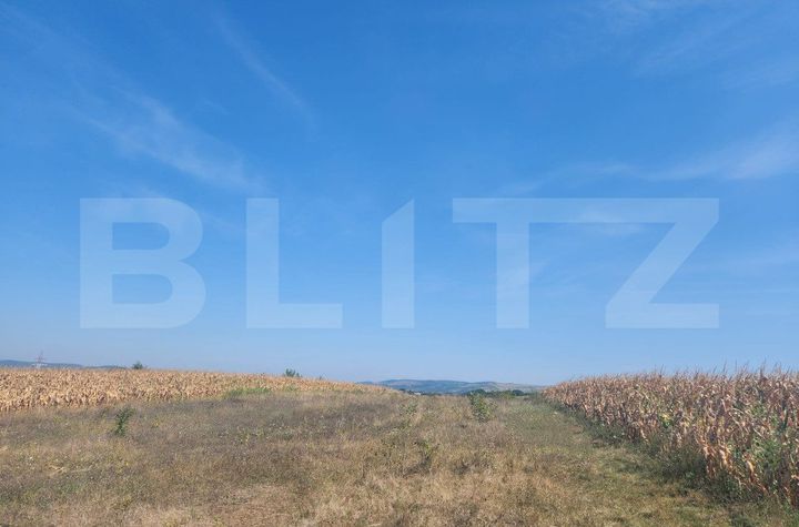 Teren de vanzare ALBA IULIA - Alba anunturi imobiliare Alba