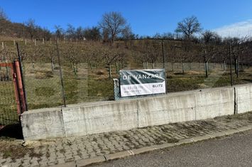 Teren de vanzare DEJ - Cluj anunturi imobiliare Cluj