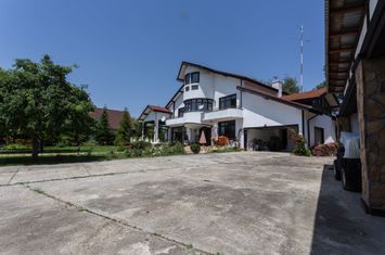 Vilă - 20 camere de vanzare SNAGOV - Bucuresti anunturi imobiliare Bucuresti